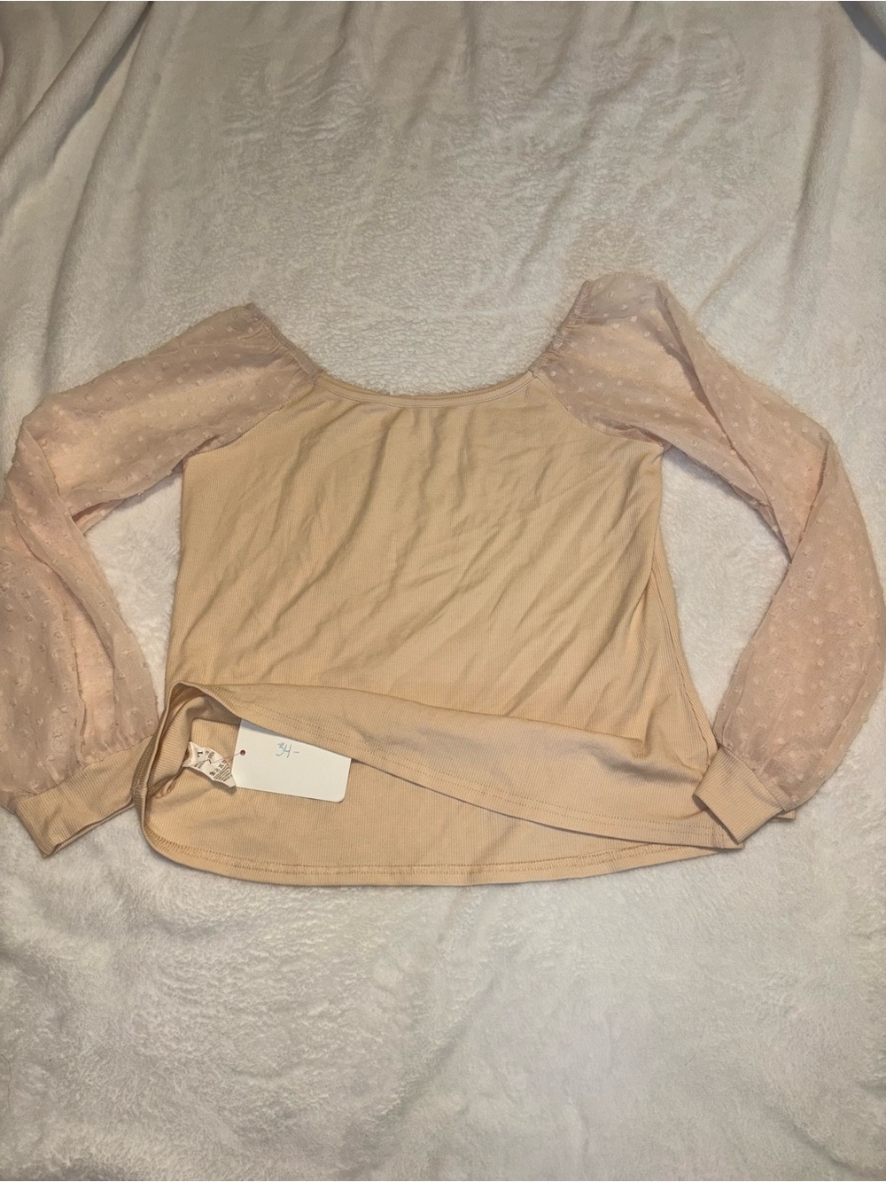 Women's Sheer Dot Sleeve Scoop Neck Top in Blush